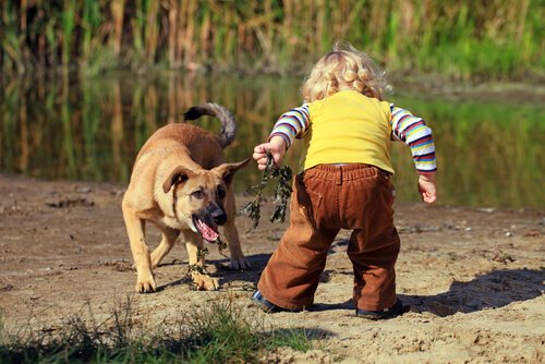 A child playing with a dog.