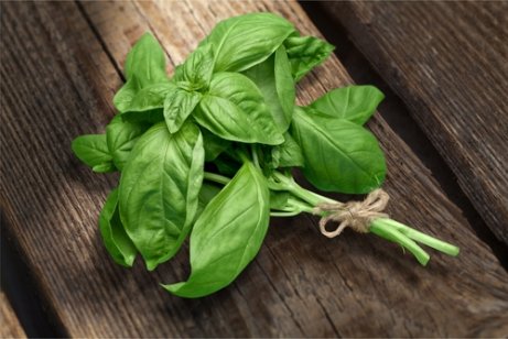 A bundle of basil on top of a picnic table