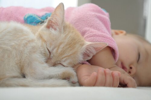 Cat sleeping with baby