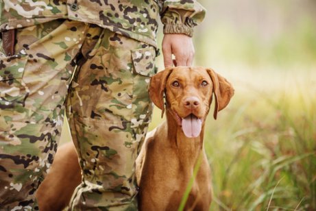 A Cur next to his owner