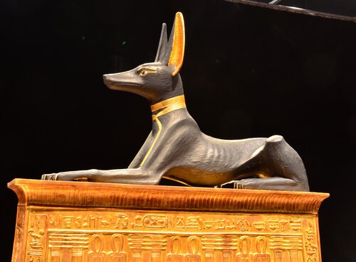 The Role of Dogs In Ancient Civilizations