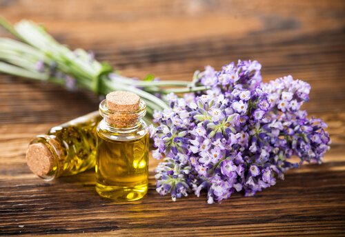 Essential oil repellent