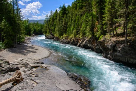 A Montana river with crystal clear water and green trees 