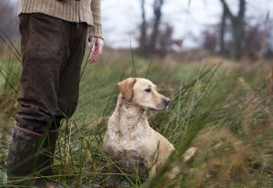 Names For Hunting Dogs Inspired By Greek Mythology