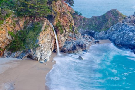 The California coast is a pet-friendly destination.