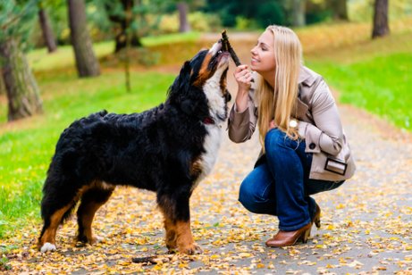 An adult playing with her dog