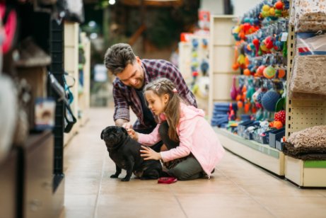 Little girl petting a Pug inside a pet shop