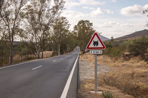Iberian Lynx crossing sign