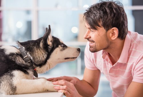 Telepathy Dogs Learn Everything About Animal Telepathy - My Animals