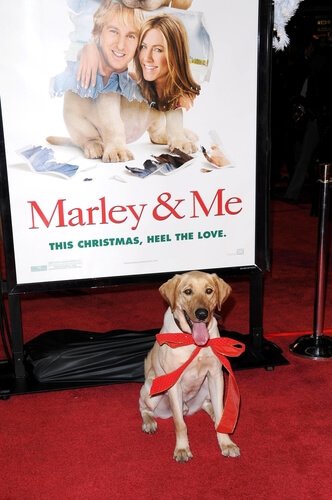 Marley & Me