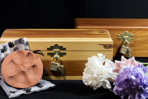What Are Your Options To Do With Your Deceased Pet?
