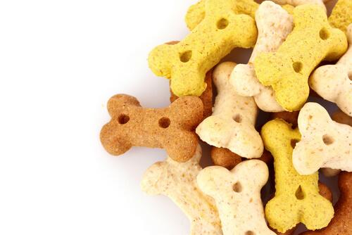 Dog Treats You Shouldn't Give to Your Dog
