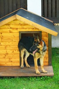 A great doghouse like this one will be great for your dog