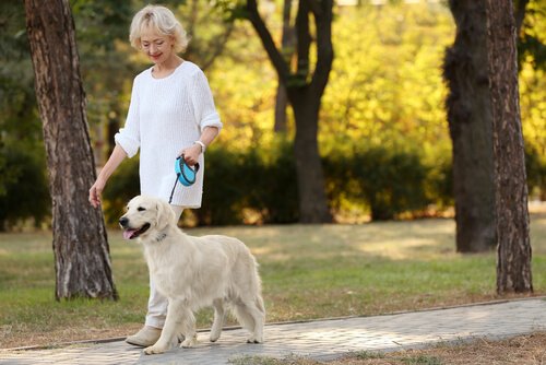 Elderly woman with her pet's company