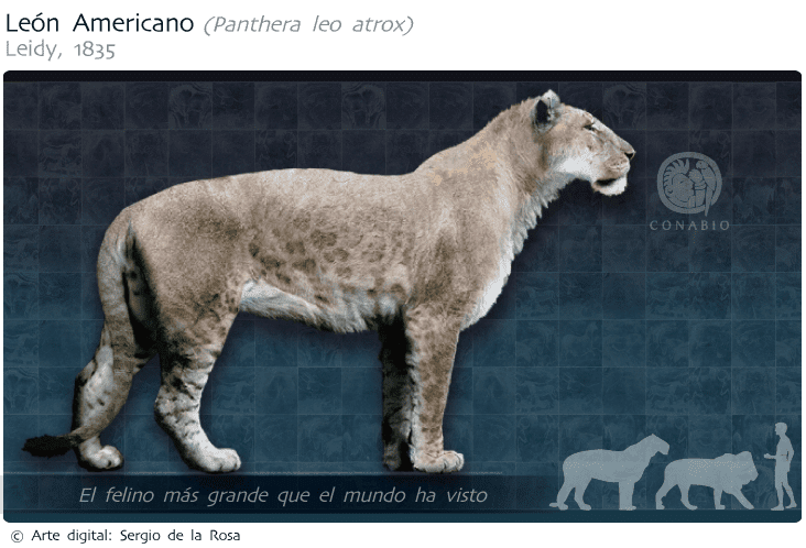 extinct wild cats