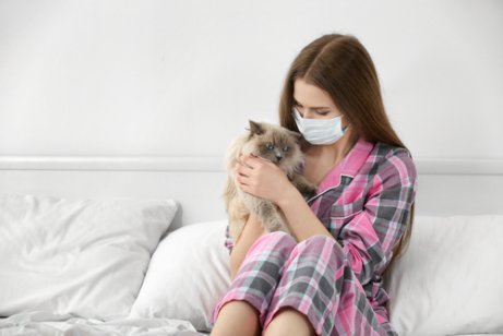 People who are allergic to cats have sensitive immune systems.