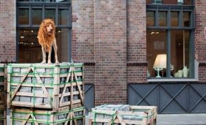 Lion Dog on a box.