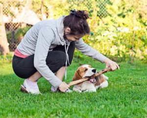 Woman and dog playing with sticks