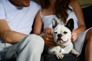 Dog that's not jealous of his owner's significant other