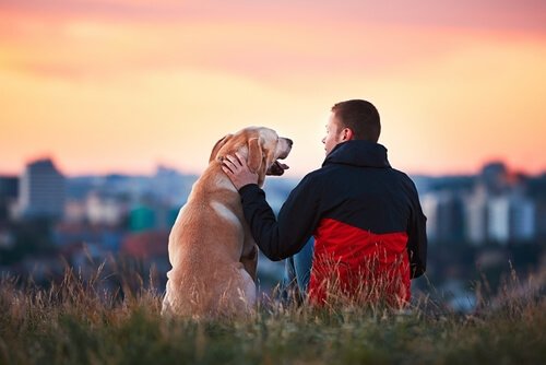 Faithful Dogs in History and Their Touching Story about their love.