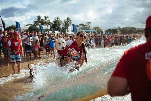 Girl and dog participating in the Noosa Surf Festival