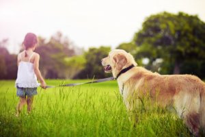What to Do When a Child Asks for a Pet