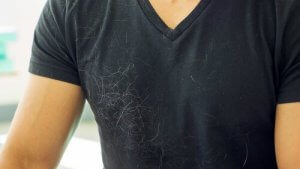 How to Get Rid of Dog Hair Around your House