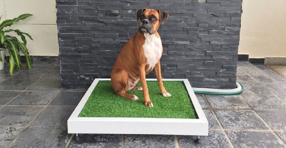 Puppy training pad made to look like grass.