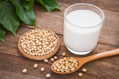 Plant-Based Milk: A Great Alternative to Dairy