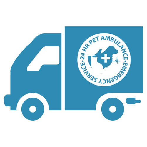 The vet-mobile service.