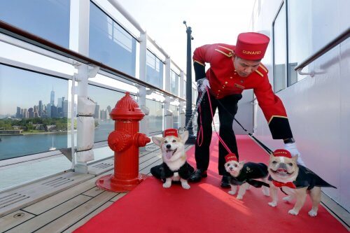 The Queen Mary Cruiser is Now Pet-Friendly