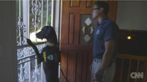 A police dog looking out the door.
