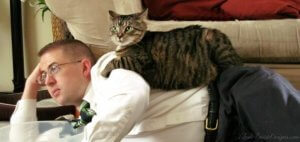 Keys to Strengthening Your Relationship with Your Cat