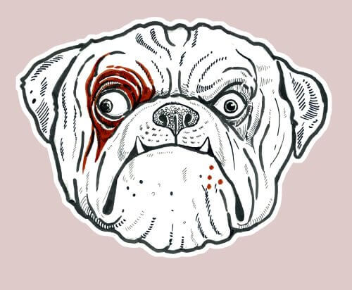 A caricature of your pet.