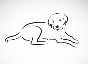 A drawing of a dog from the side.