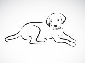 A drawing of a dog from the side. 