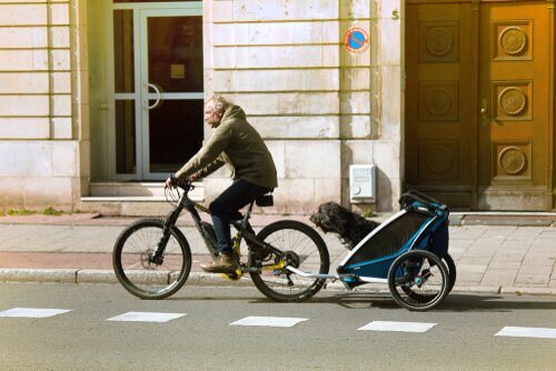 A man cycles down the street with a bicycle trailer for dogs behind him.