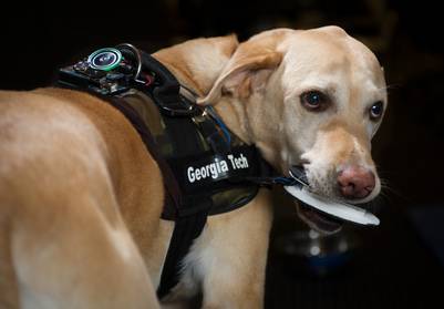 A dog using the vest that allows dogs to talk.