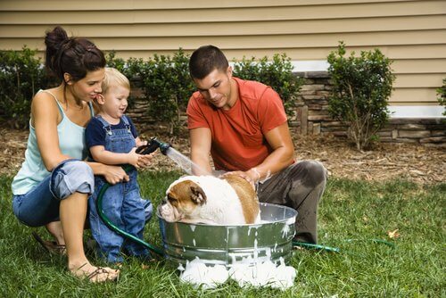 A family giving their dog a bath.