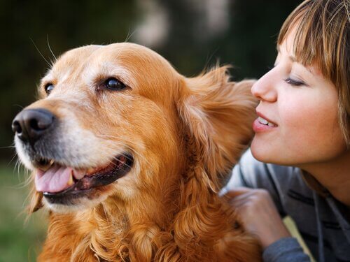 Dogs and their owners can share the same heartbeat.