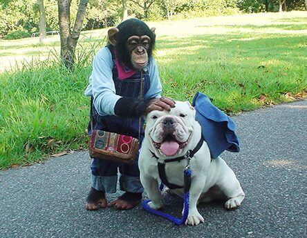 Pankun petting his friend James.