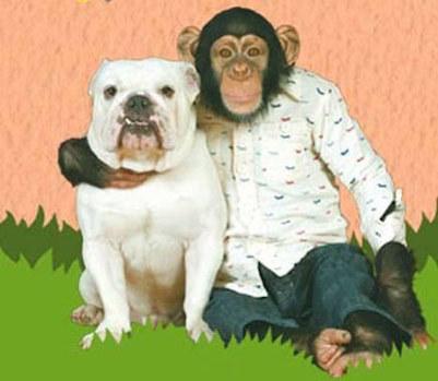 Pankun the monkey hugging his friend James the dog.