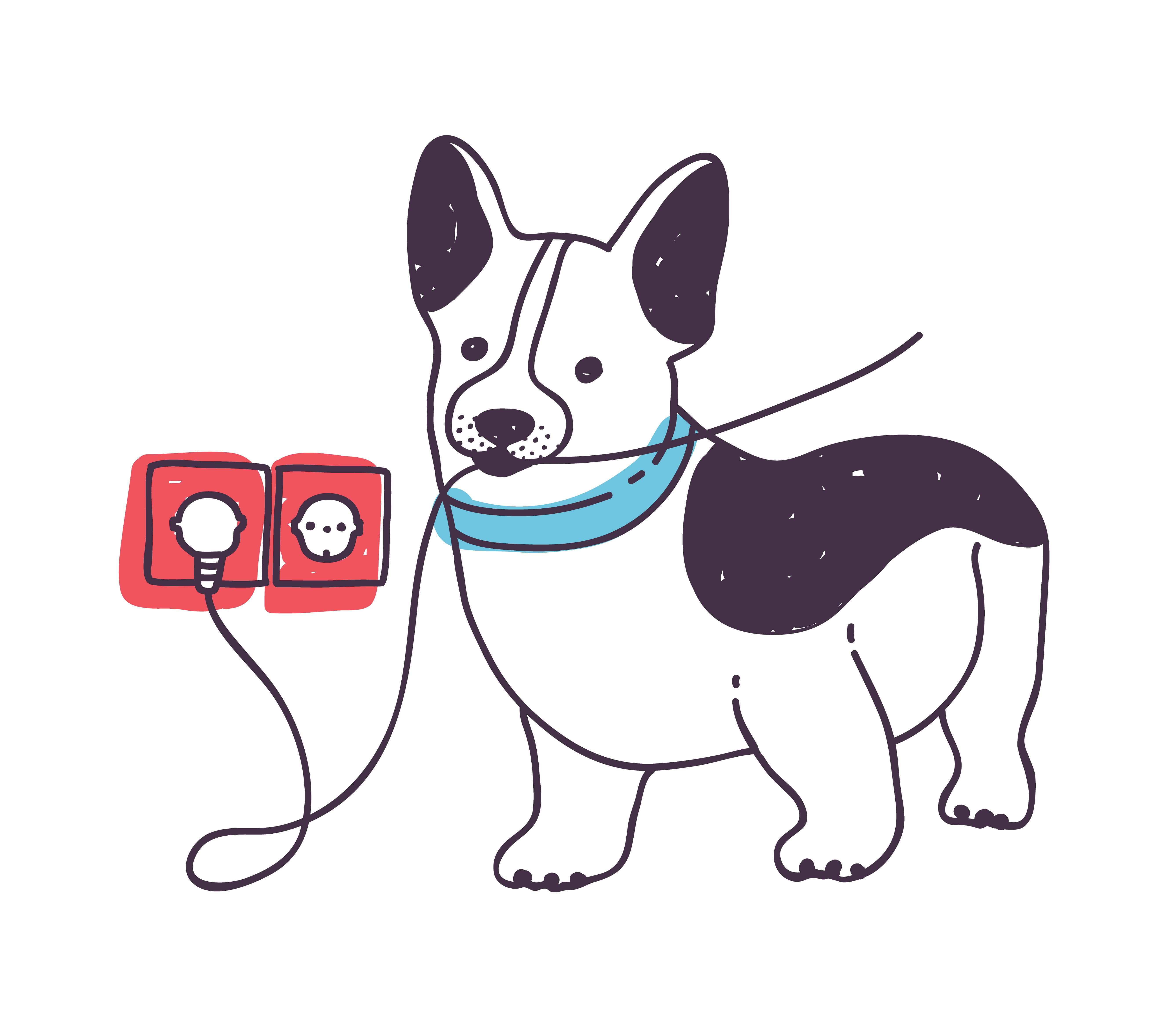 Dog chewing electric cables