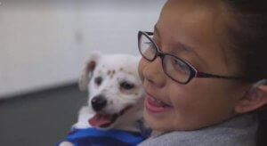 A Dog that Understands Sign Language