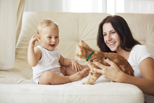 A family playing with a cat.