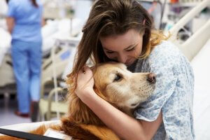 Medical Response Dogs Who Save Lives