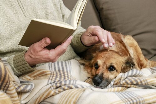 An owner reading with his dog.