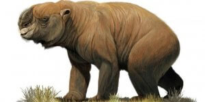 The Extinct Megafauna of Australia