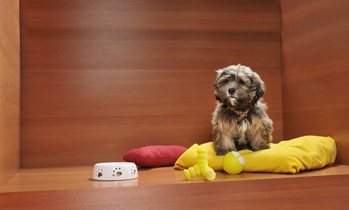 A dog on a cushion next to a bowl.