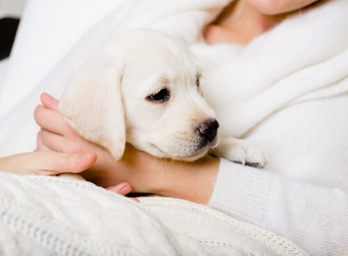 A woman with a puppy.